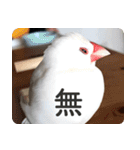 もちもちつくねスタンプ（個別スタンプ：13）