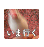 もちもちつくねスタンプ（個別スタンプ：15）