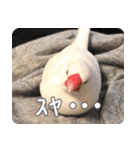 もちもちつくねスタンプ（個別スタンプ：21）