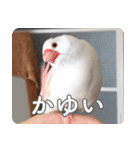 もちもちつくねスタンプ（個別スタンプ：22）