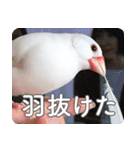 もちもちつくねスタンプ（個別スタンプ：23）
