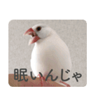 もちもちつくねスタンプ（個別スタンプ：24）