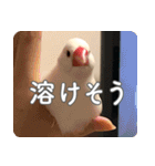 もちもちつくねスタンプ（個別スタンプ：27）