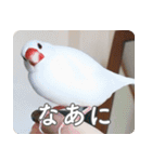 もちもちつくねスタンプ（個別スタンプ：28）
