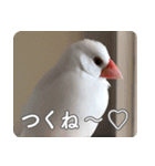 もちもちつくねスタンプ（個別スタンプ：31）