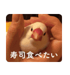 もちもちつくねスタンプ（個別スタンプ：33）