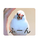 もちもちつくねスタンプ（個別スタンプ：35）