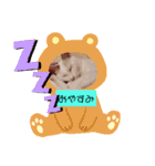 我が家のわさびのあいさつ（個別スタンプ：5）