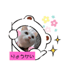 我が家のわさびのあいさつ（個別スタンプ：8）