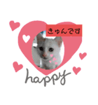 我が家のわさびのあいさつ（個別スタンプ：14）