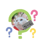 我が家のわさびのあいさつ（個別スタンプ：15）