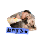 ホクとセナ（個別スタンプ：4）