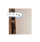 ホクとセナ（個別スタンプ：15）