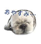 kato's miiiiii ！！！！！（個別スタンプ：4）