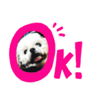 kato's miiiiii ！！！！！（個別スタンプ：9）