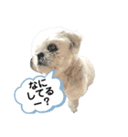 kato's miiiiii ！！！！！（個別スタンプ：17）