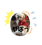 kato's miiiiii ！！！！！（個別スタンプ：22）