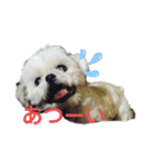 kato's miiiiii ！！！！！（個別スタンプ：30）