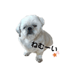 kato's miiiiii ！！！！！（個別スタンプ：32）