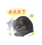 ジジ スタンプ（個別スタンプ：26）