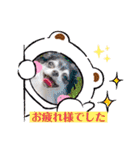 チワワのれおぱこぴにこ②（個別スタンプ：10）