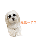 自由なゆなちゃん。（個別スタンプ：1）