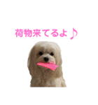 自由なゆなちゃん。（個別スタンプ：4）