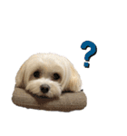 自由なゆなちゃん。（個別スタンプ：5）