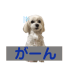 自由なゆなちゃん。（個別スタンプ：7）
