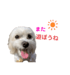 自由なゆなちゃん。（個別スタンプ：8）