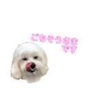 自由なゆなちゃん。（個別スタンプ：9）
