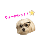 自由なゆなちゃん。（個別スタンプ：16）