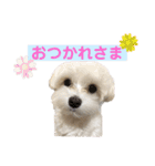 自由なゆなちゃん。（個別スタンプ：17）