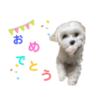 自由なゆなちゃん。（個別スタンプ：19）