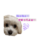 自由なゆなちゃん。（個別スタンプ：21）