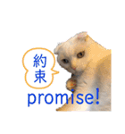 白猫のんびりライフにゃ（個別スタンプ：17）