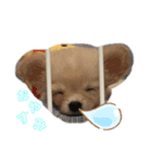 はにースタンプ①（個別スタンプ：4）