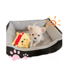 はにースタンプ①（個別スタンプ：7）