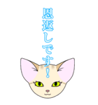 【BIG】ヅラにゃん時々スナにゃん【夏】（個別スタンプ：3）