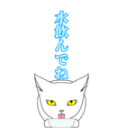 【BIG】ヅラにゃん時々スナにゃん【夏】（個別スタンプ：19）