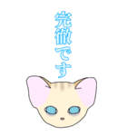 【BIG】ヅラにゃん時々スナにゃん【夏】（個別スタンプ：34）