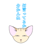 【BIG】ヅラにゃん時々スナにゃん【夏】（個別スタンプ：36）
