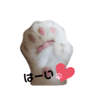 はちわれのももちゃん②（個別スタンプ：5）