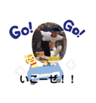 僕らの青春日記（個別スタンプ：13）