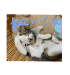 うるうる（個別スタンプ：1）