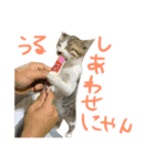 うるうる（個別スタンプ：2）