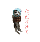 うるうる（個別スタンプ：4）
