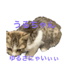 うるうる（個別スタンプ：6）