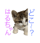 うるうる（個別スタンプ：8）
