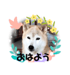 まめしばりん 2（個別スタンプ：7）